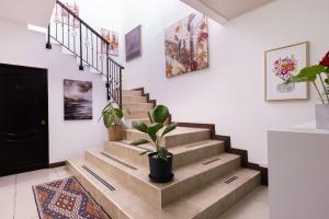 a staircase in a home with a potted plant at Viva Guest House in San José