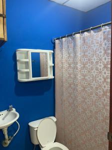 a blue bathroom with a toilet and a sink at Hostal Los Chamos in San Juan del Sur +67 photos