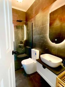 a bathroom with a toilet and a sink and a mirror at Luxury Hobart City Fringe Home in Hobart