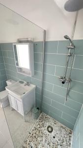 een badkamer met een wastafel en een douche met een spiegel bij LE MANGO 'Lodge in Saint-François