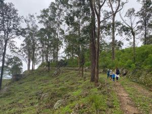 Un groupe de personnes se promenant sur un chemin de terre dans l'établissement Tranquilisle, à Kandy