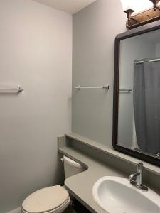 a bathroom with a toilet and a sink and a mirror at Nechako Valley Inn in Vanderhoof
