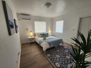 um quarto com uma cama e uma planta e duas janelas em Hostel Beds & Sheets FLL AIRPORT em Dania Beach