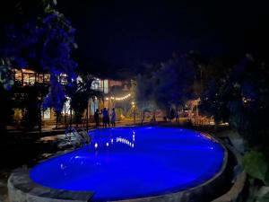 a blue pool with people standing around it at night at Little Mai Chau Home Stay in Mai Châu