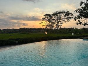 a pool of water with the sunset in the background at GRIYA KCB VILLA in Ubud