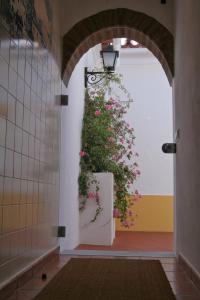 an archway with a planter with pink flowers on a wall at Alojamento Pero Rodrigues in Alandroal