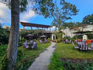 Zahrada ubytování Hotel Casa Bansley