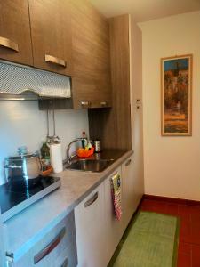 a kitchen with a sink and a counter top at Le camere dell'Albero Bianco con uso cucina in Manzano