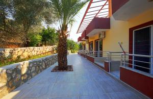 a palm tree on a sidewalk next to a building at Rose Hotel B&B in Patara