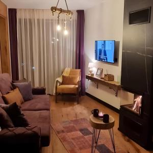 sala de estar con sofá y chimenea en Winter Park Residence Bjelasnica, en Bjelašnica