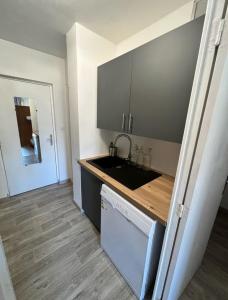 a small kitchen with a sink and a dishwasher at Residence bois d'aurouze pied des pistes in Le Dévoluy