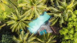 una vista aerea su un resort con palme e piscina di Darmada Eco Resort a Sidemen