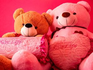 Fotografie z fotogalerie ubytování Roselips Tsuruhashi ローズリップス鶴橋adult only v Osace
