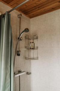 a shower with a green shower curtain in a bathroom at Tranquility with Luxury in Maardu