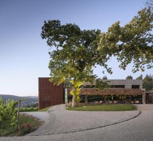a road leading to a building with a tree at Monverde - Wine Experience Hotel - by Unlock Hotels in Amarante
