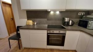 Kuchyňa alebo kuchynka v ubytovaní Priestranný apartmán 64 m2 v malebnom penzione Pavčina Lehota pri svahu