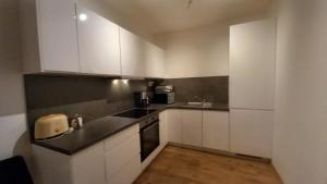 Kuchyňa alebo kuchynka v ubytovaní Priestranný apartmán 64 m2 v malebnom penzione Pavčina Lehota pri svahu + 11 fotografií