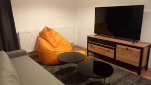 Televízia a/alebo spoločenská miestnosť v ubytovaní Priestranný apartmán 64 m2 v malebnom penzione Pavčina Lehota pri svahu