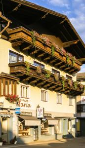 a building with potted plants on the side of it at Haus Maria in Bruck an der Großglocknerstraße