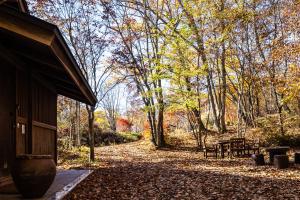 Villa Iizuna Plateau -飯綱高原の山荘- في ناغانو: حديقة فيها مقاعد واشجار في الخريف