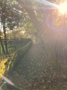 a fence with the sun shining through the trees at The Stables in Metheringham