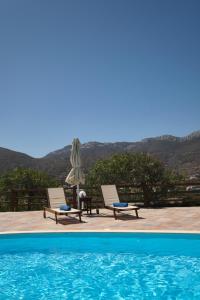 a pool with two lounge chairs and a cactus at Amorgion Village in Katapola
