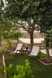 two chairs and a table under a tree at Amorgion Village in Katapola