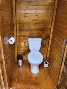a bathroom with a toilet in a wooden stall at Carul cu Stele-Glamping 