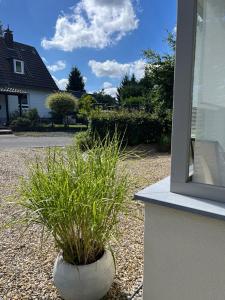 Imagen de la galería de Löftchen, en Roetgen