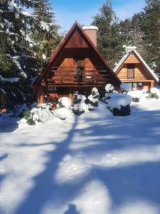 a log cabin with snow in front of it at DOMKI RODIS in Baligród