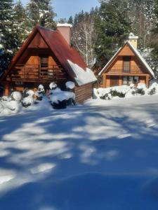 a log cabin with snow on the ground at DOMKI RODIS in Baligród