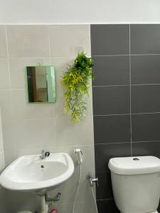 ein Badezimmer mit einem Waschbecken, einem WC und einem Spiegel in der Unterkunft Homestay Semi D Dekat Area Sepat in Kuantan