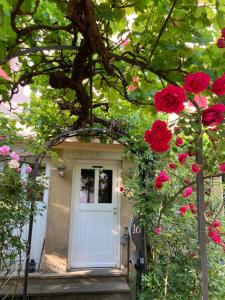 Zahrada ubytování Haus Aurelia