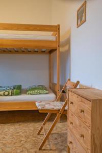 מיטה או מיטות קומותיים בחדר ב-Ubytovna Toulcův dvůr