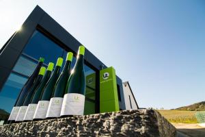 莱温Ferienweingut Ulrike Thul的相册照片