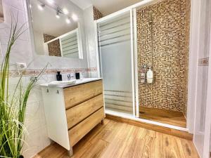 La salle de bains est pourvue d'une douche, d'un lavabo et d'un miroir. dans l'établissement Apartamento Alcázar San Basilio, à Cordoue