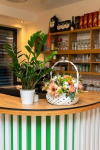 a flower basket on a counter with a plant at Merak Rooms & Caffe Bar in Šabac