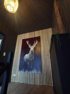 Fotografie z fotogalerie ubytování Le petit Chermont v destinaci Saint-Hubert