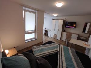 a living room with a couch and a window at Business Apartments Heilbronn in Heilbronn