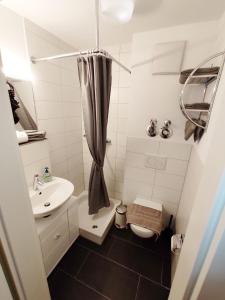 La petite salle de bains est pourvue d'un lavabo et de toilettes. dans l'établissement Business Apartments Heilbronn, à Heilbronn