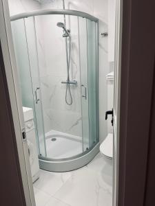 a shower with a glass door in a bathroom at Sun Clock Apartment in Šiauliai