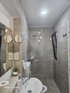 a bathroom with a sink and a shower and a toilet at Pensiunea Alexia in Petroşani