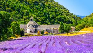 an old church in a field of purple flowers at Maison tendance avec jardin, centre village, Alpilles, familles in Eyragues