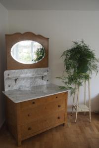 a dresser with a mirror and a plant in a room at Ferienwohnung Am Seebach, 80 Qm in Titisee-Neustadt