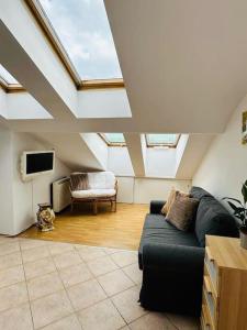 a living room with a black couch and a tv at Luna Apartments in Krakow