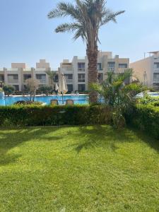 a yard with a palm tree and a swimming pool at Mangroovy Residence El Gouna - Grovin in Hurghada