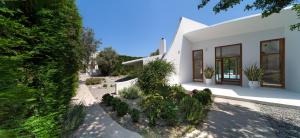 En have udenfor Villa Ixia