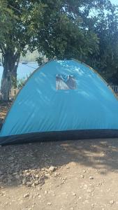 a blue tent sitting on the ground under a tree at Su camping in Dağpınar