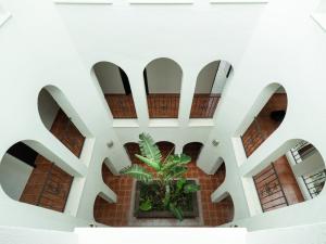 Fotografie z fotogalerie ubytování Hotel Altos de Istán v destinaci Istán