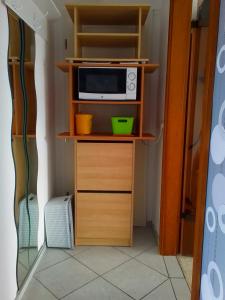 un pequeño armario con un microondas encima en Appartement, en Offenburg
